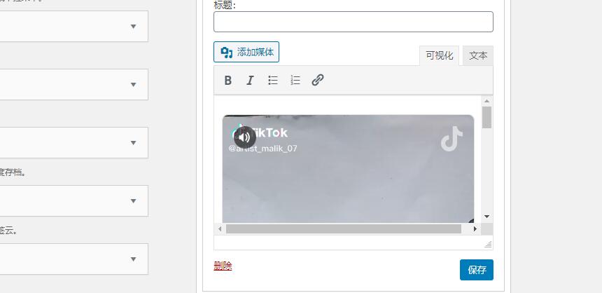 如何在WordPress中导入TikTok视频【抖音国际版】