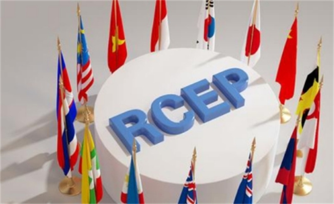 全面生效 RCEP将为我们带来哪些红利?