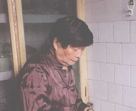 胡国栋