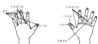 头痛的按摩疗法