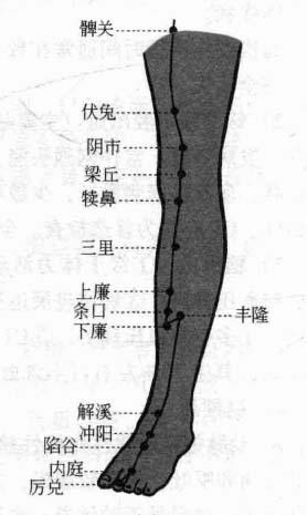 脑梗死后遗症磁圆梅针疗法