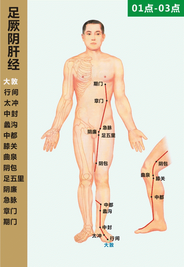 最全经络高清动图,再也不怕找不到穴位了!