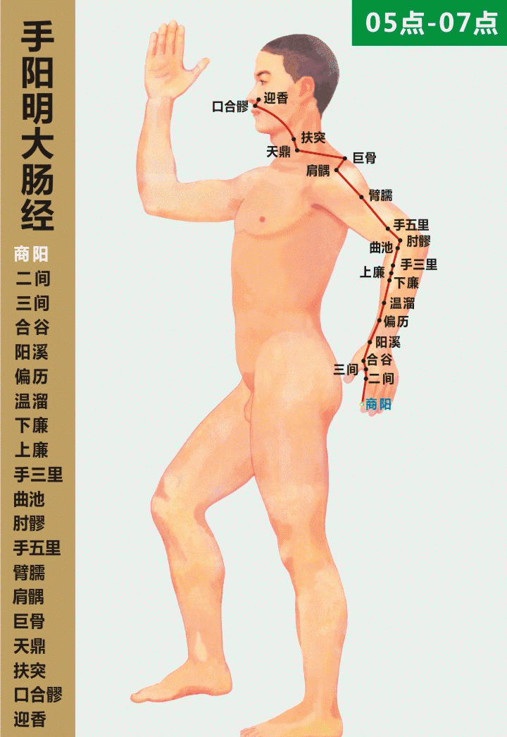 最全经络高清动图,再也不怕找不到穴位了!