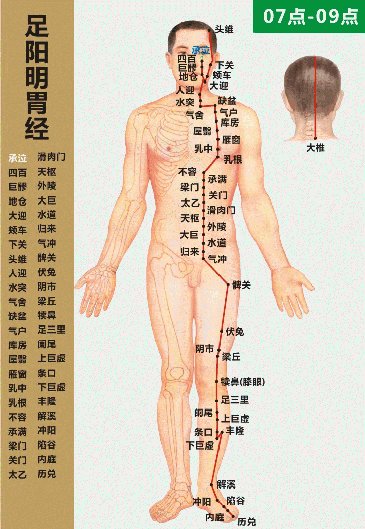 最全经络高清动图,再也不怕找不到穴位了!