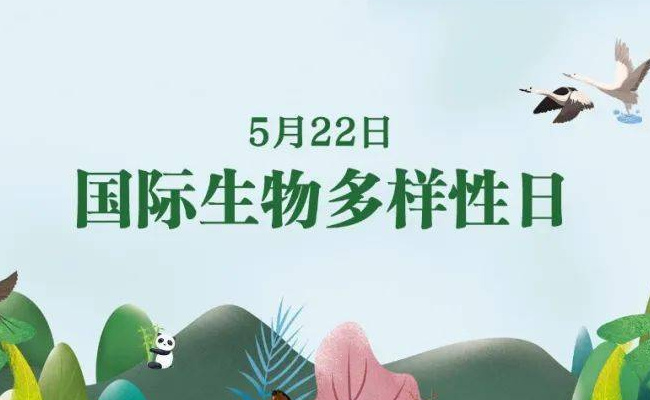 今天国际生物多样性日 国际生物多样性日的意义?