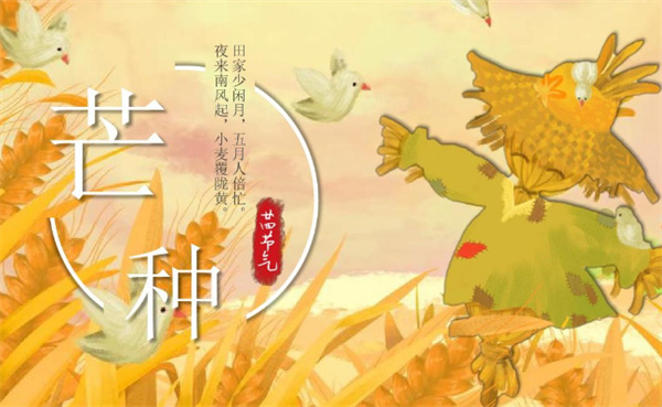 芒种下雨对农业的影响有哪些?