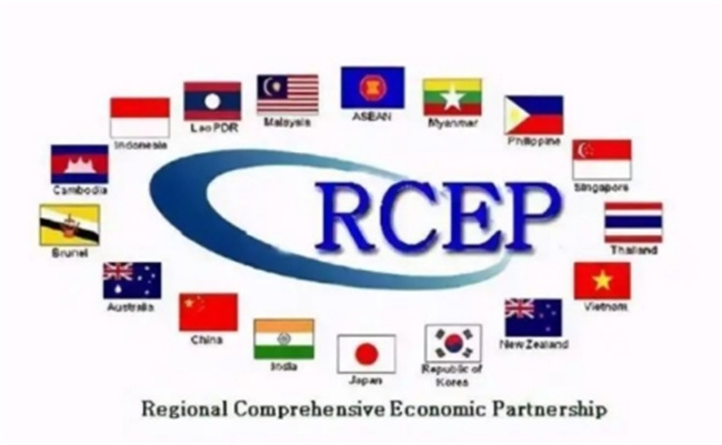 全面生效 RCEP将为我们带来哪些红利?