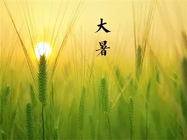 2023大暑的具体时间 文体内涵及计算方法是什么?