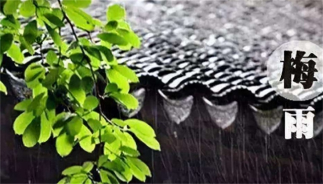 夏至节气的由来 夏至的气候特点 ?