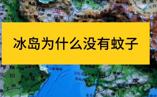 冰岛为什么没有蚊子 冰岛气候对蚊子的影响?