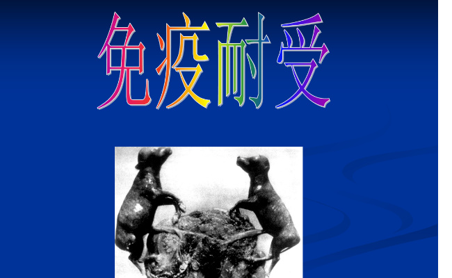 科学家揭示食物抗原诱导免疫耐受的机制 免疫耐受的概念