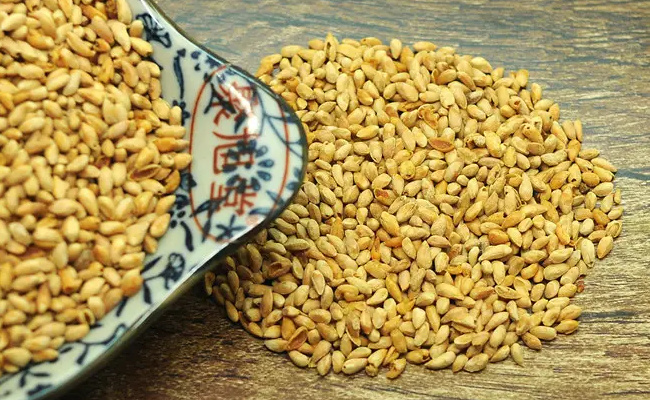 柏子仁的功效及禁忌有哪些