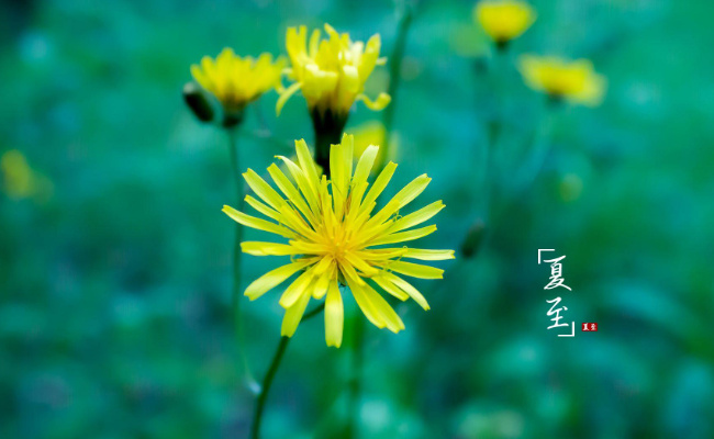 夏至是不是就是进伏了