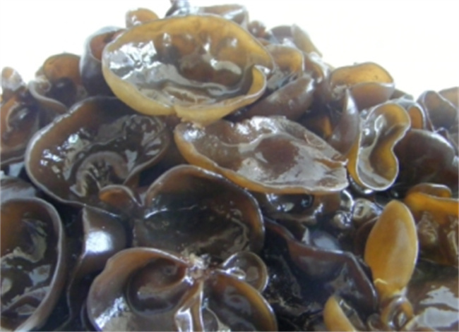 可以养胃的三种常见食物有哪些?