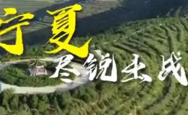 宁夏聚力新兴产业推动经济转型 将会呈现怎样的态势?