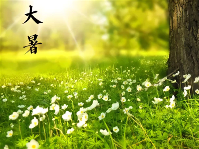 2023大暑的具体时间 文体内涵及计算方法是什么?