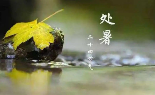 处暑吃什么传统食物 处暑吃什么养生?