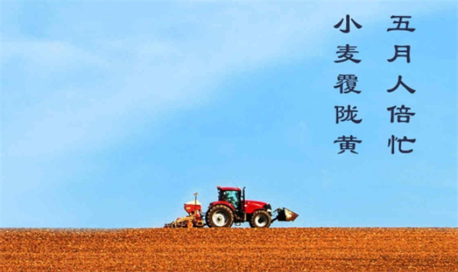 芒种忙什么 什么是芒种?