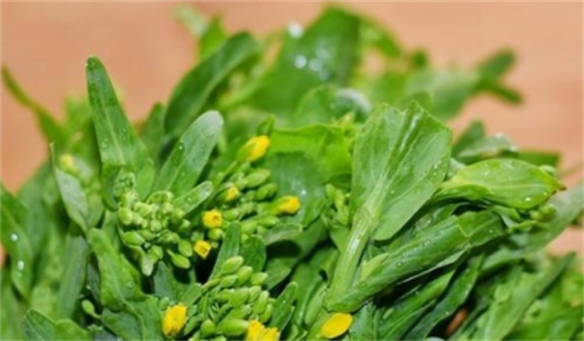 菜苔有哪些功效 有哪些食用方法