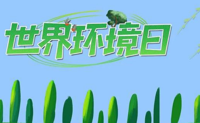设立6.5环境日目的?