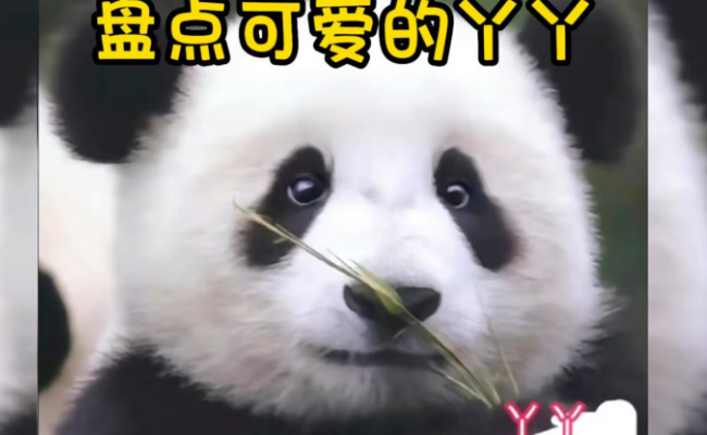 探望隔离满月的丫丫 丫丫现在怎么样了?
