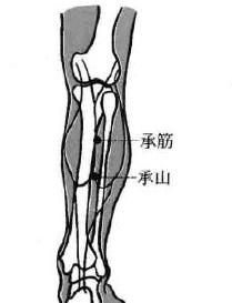 腰椎间盘突出症的药物贴敷疗法