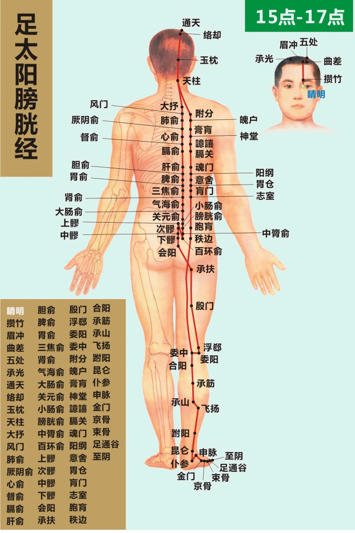 最全经络高清动图,再也不怕找不到穴位了!