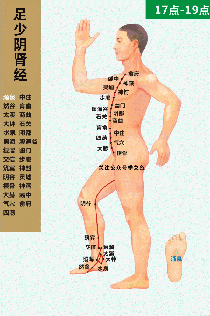 最全经络高清动图,再也不怕找不到穴位了!