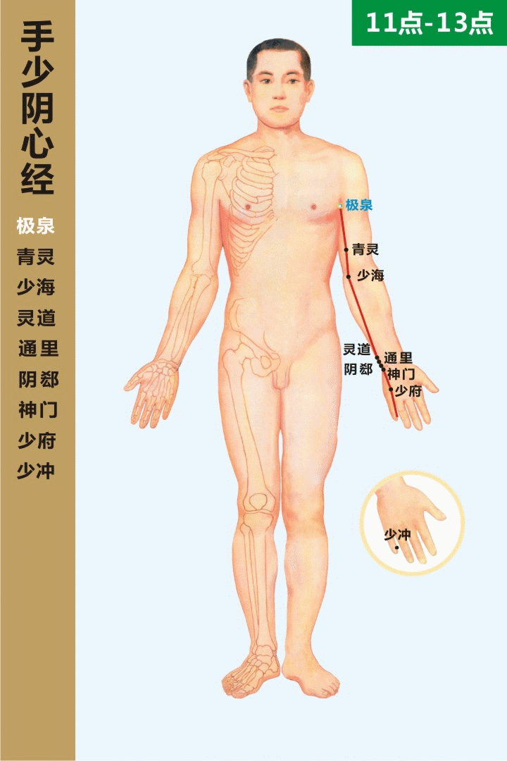 最全经络高清动图,再也不怕找不到穴位了!