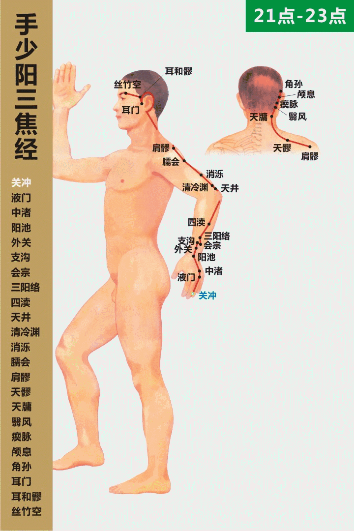最全经络高清动图,再也不怕找不到穴位了!