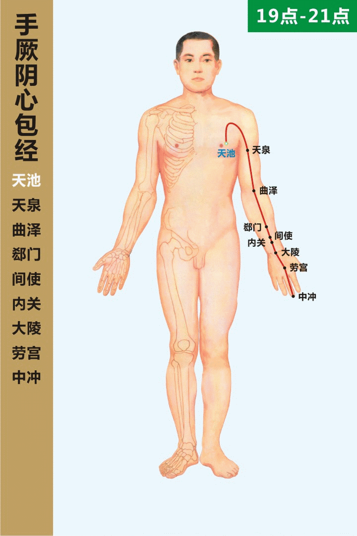 最全经络高清动图,再也不怕找不到穴位了!