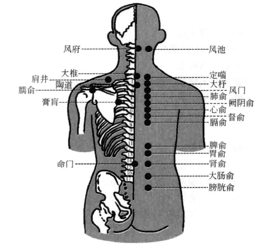 前列腺病的药物贴敷疗法