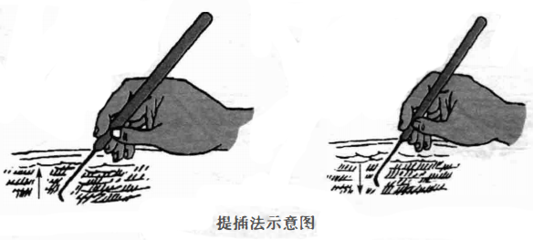 钩针的手法
