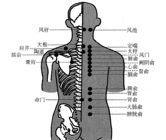 痔疮的药物贴敷疗法